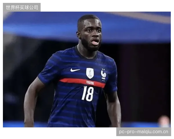 德尚信任的于帕梅卡诺与科纳特中卫组合,将面临世界杯正赛的终极考验。 德尚信任的于帕梅卡诺与科纳特中卫组合,将面临世界杯正赛的终极考验。